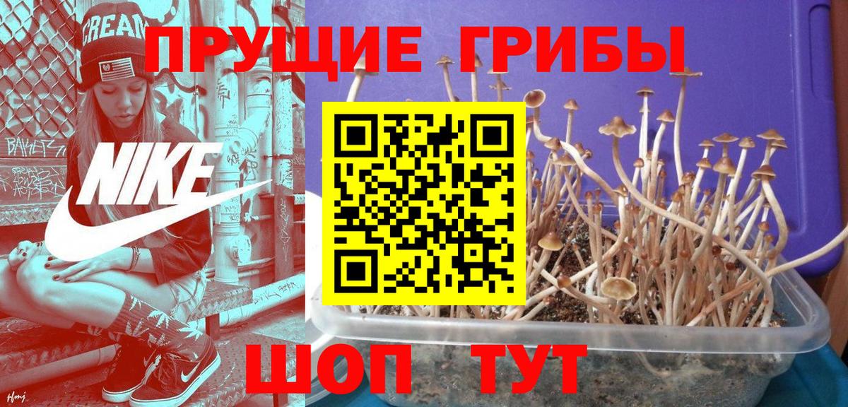 Новороссийск  Псилоцибиновые грибы ЛСД  Вход с VPN 