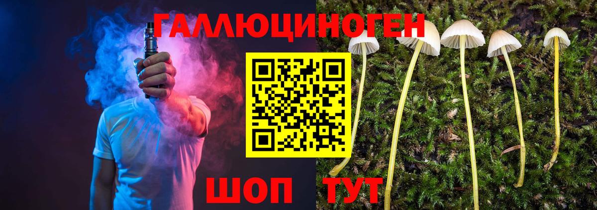 Галлюциногенные грибы ЛСД Новороссийск